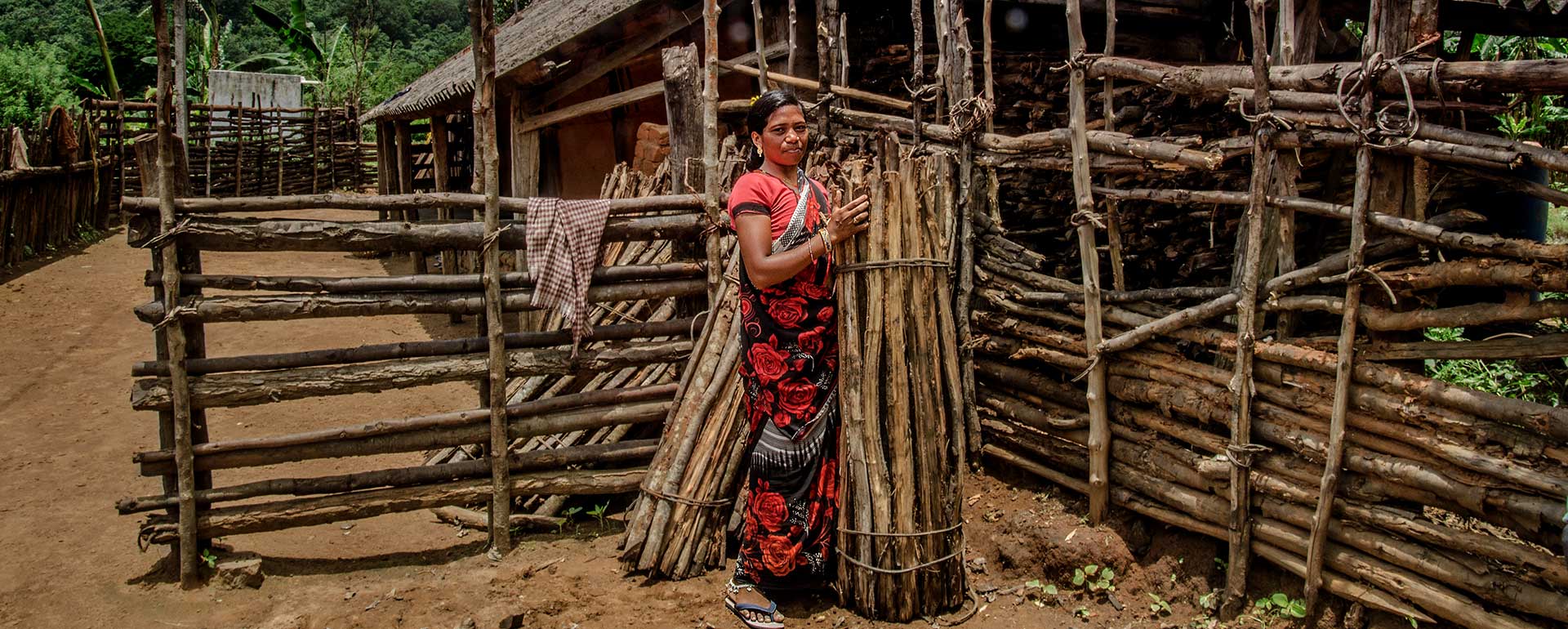 The value and ways we use wood